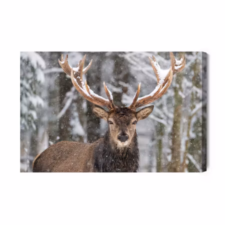 Canvastavla - Deer in the Winter Forest