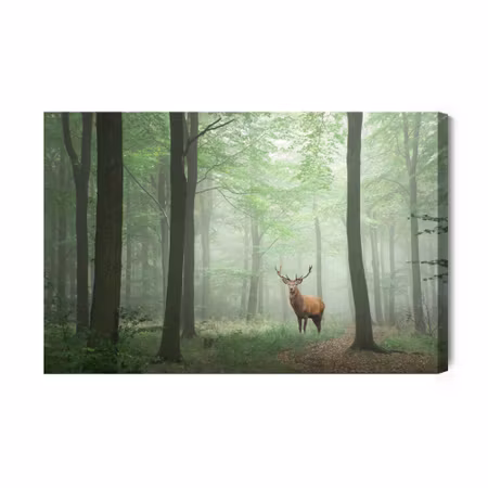 Canvastavla - Deer in the Misty Forest