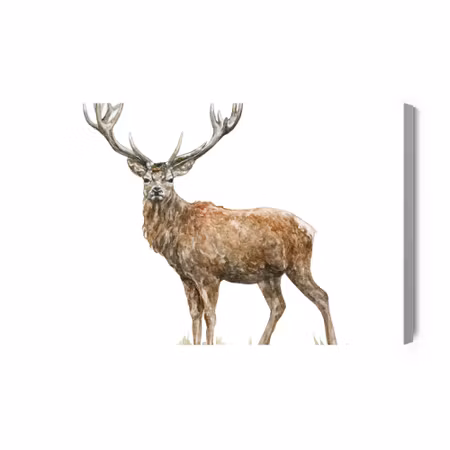 Canvastavla - A Deer Like Painted with Watercolor