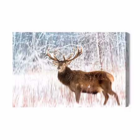 Canvastavla - Deer on an Abstract Background