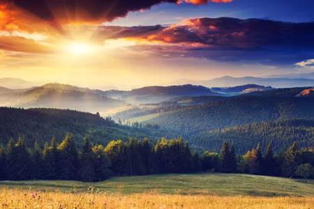 Canvastavla - Carpathians in Ukraine