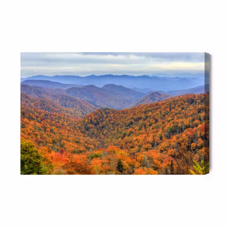 Canvastavla - Autumn Forest in the Mountains