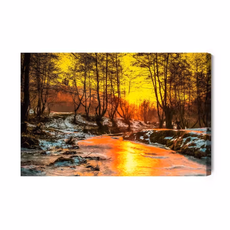 Canvastavla - Sunset in the Forest