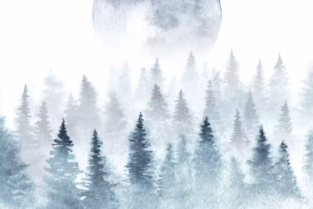 Canvastavla - The Moon over the Misty Forest