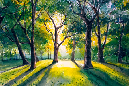 Canvastavla - Forest in the Morning