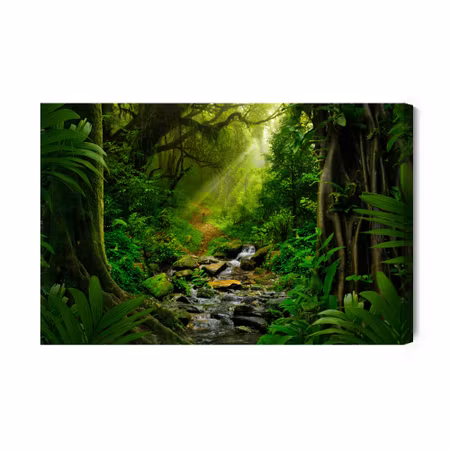 Canvastavla - D Rainforest