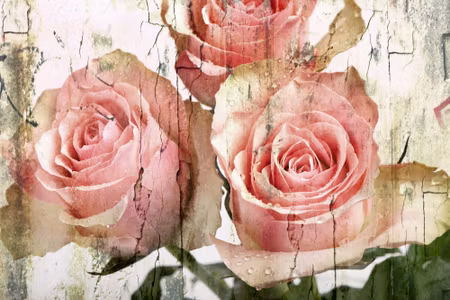 Canvastavla - Vintage D Roses