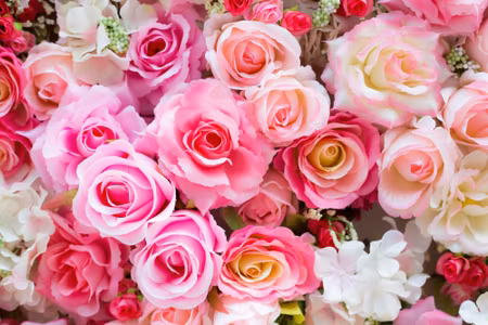 Canvastavla - D Multi-colored Roses