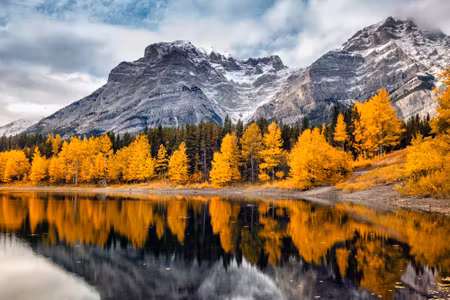 Canvastavla - Autumn in the Mountains