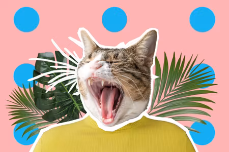 Canvastavla - Cat and Leaves Pop Art Style