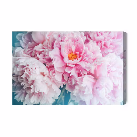 Canvastavla - Delicate Peonies