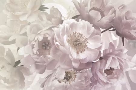 Canvastavla - Nature with Peony Roses