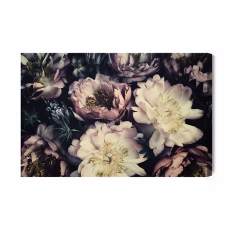 Canvastavla - Peonies in Dark Colours