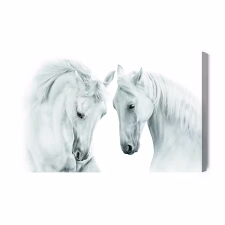 Canvastavla - Two White Horses