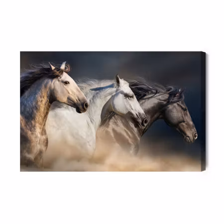 Canvastavla - Three Horses At a Gallop