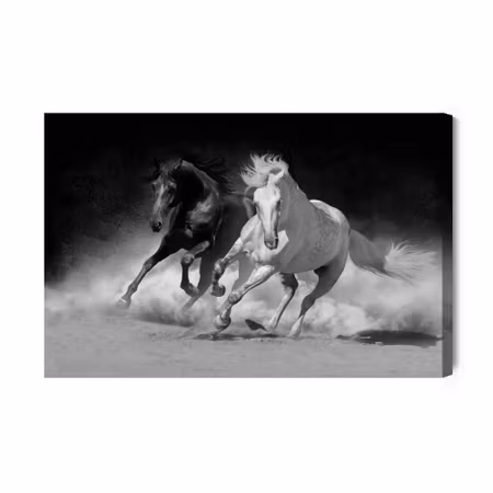 Canvastavla - Horses in Black and White