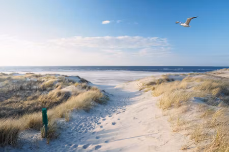 Canvastavla - Beach and Sea