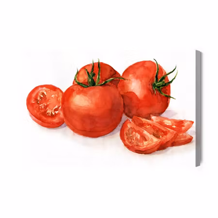 Canvastavla - Tomatoes Painted in Watercolor