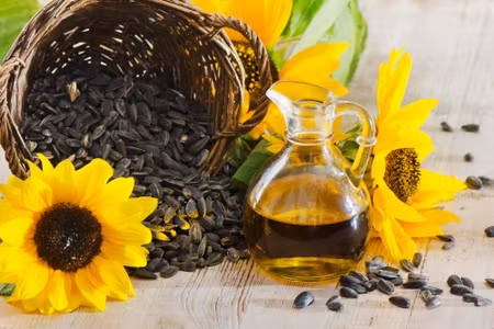 Canvastavla - Sunflower Seeds and Oil