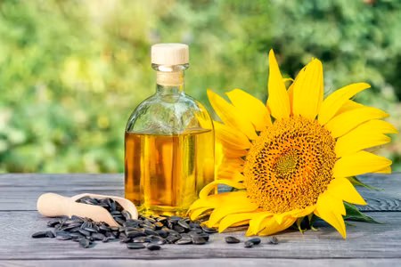 Canvastavla - Sunflower with Cores and Oil