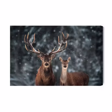 Canvastavla - Deer and Deer in Winter