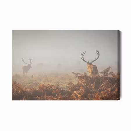 Canvastavla - Deer in the Fog