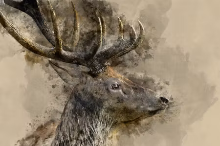 Canvastavla - Deer with Large Antlers