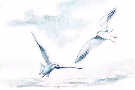 Canvastavla - White Birds with Watercolour Painted