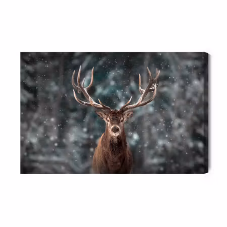 Canvastavla - Deer in the Middle of a Forest