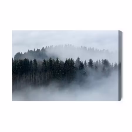 Canvastavla - Trees Wrapped in Fog