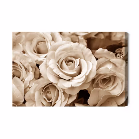 Canvastavla - Vintage Rose Petals