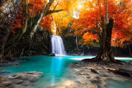 Canvastavla - Waterfall in Autumn Forest D