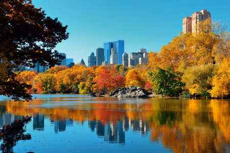 Canvastavla - Central Park in the Fall