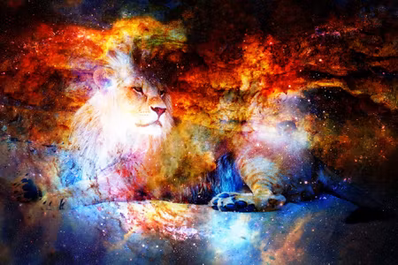 Canvastavla - Lion in Outer Space