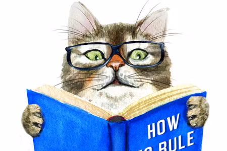 Canvastavla - A Read Cat