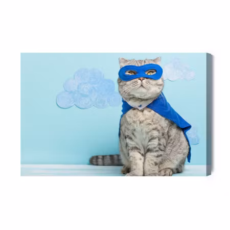 Canvastavla - Gray Cat with a Mask and a Cape