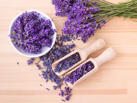 Canvastavla - Fresh and Dried Lavender on a