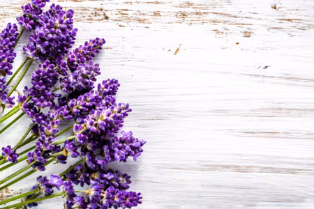 Canvastavla - Lavender Flowers on a Wood