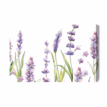 Canvastavla - Watercolor Lavender Flowers on a