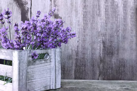 Canvastavla - Lavender Flowers in a Wooden Case