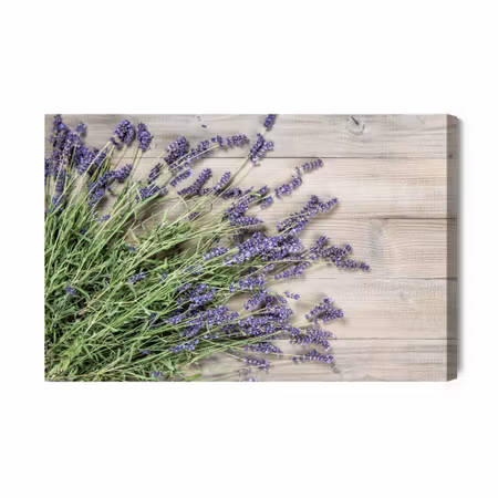 Canvastavla - Lavender on a Rustic Wood Background