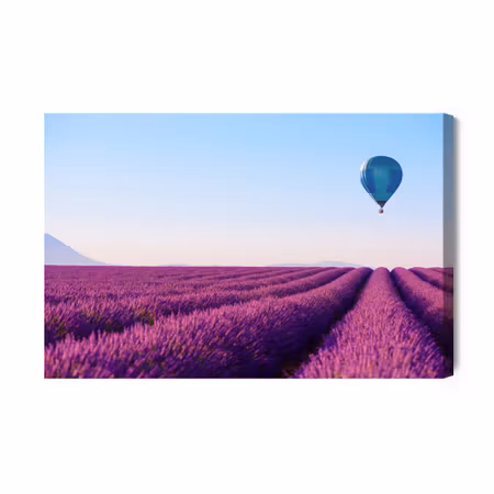 Canvastavla - Balloon over a Lavender Field