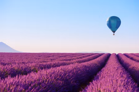 Canvastavla - Balloon over a Lavender Field