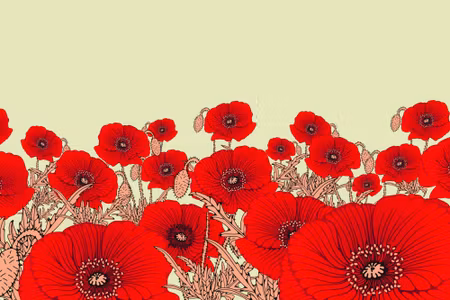 Canvastavla - Beautiful Red Poppies