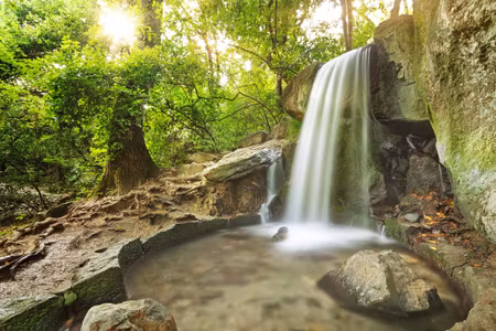 Canvastavla - Waterfall in the D Forest