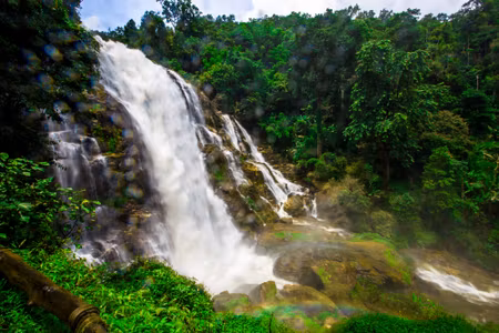 Canvastavla - Waterfall in the Tropical Forest