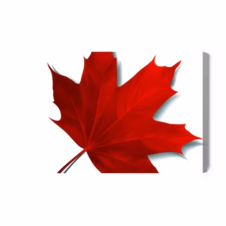 Canvastavla - Red Maple Leaf