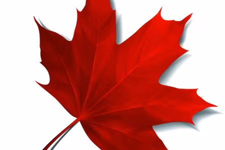 Canvastavla - Red Maple Leaf