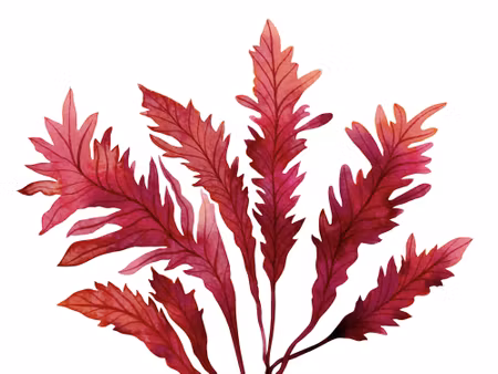 Canvastavla - Watercolor Leaves