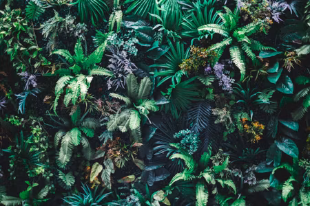 Canvastavla - A Garden Full of Tropical Leaves